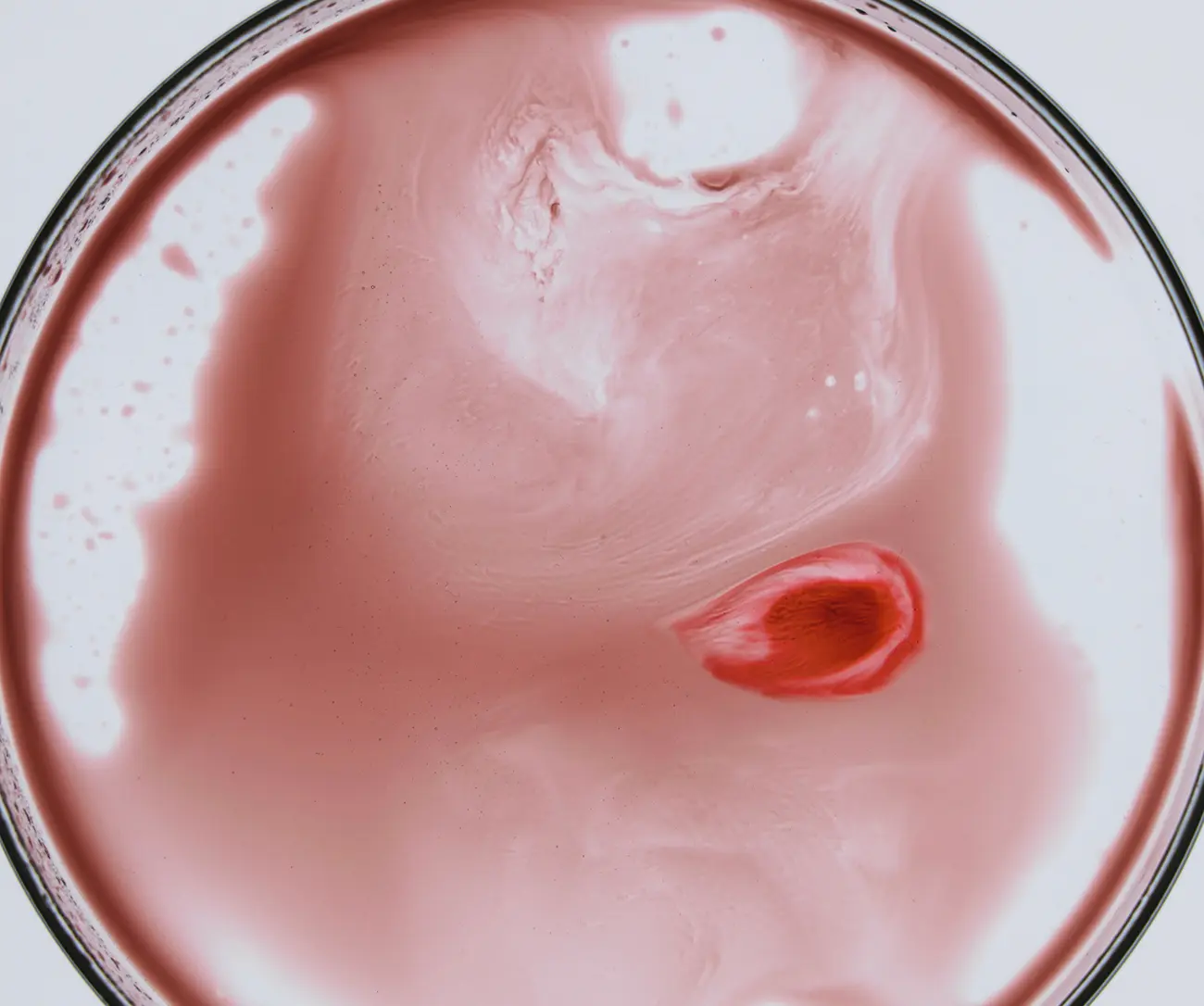 La tienda de Helenis Biocosmetics