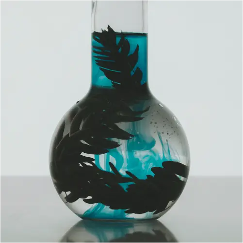 prebiotics and postbiotics