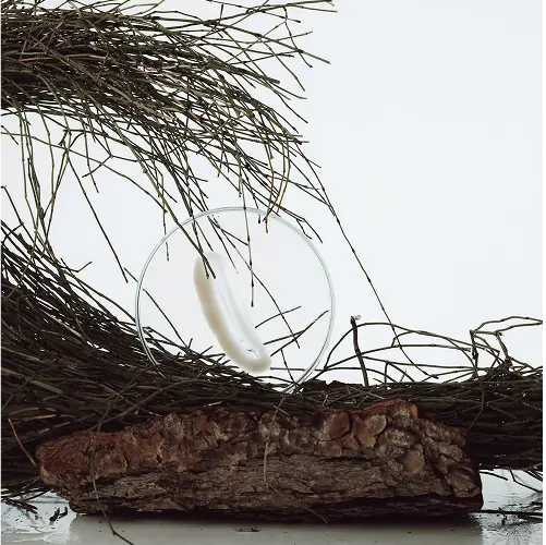 values2 reconnecting nature